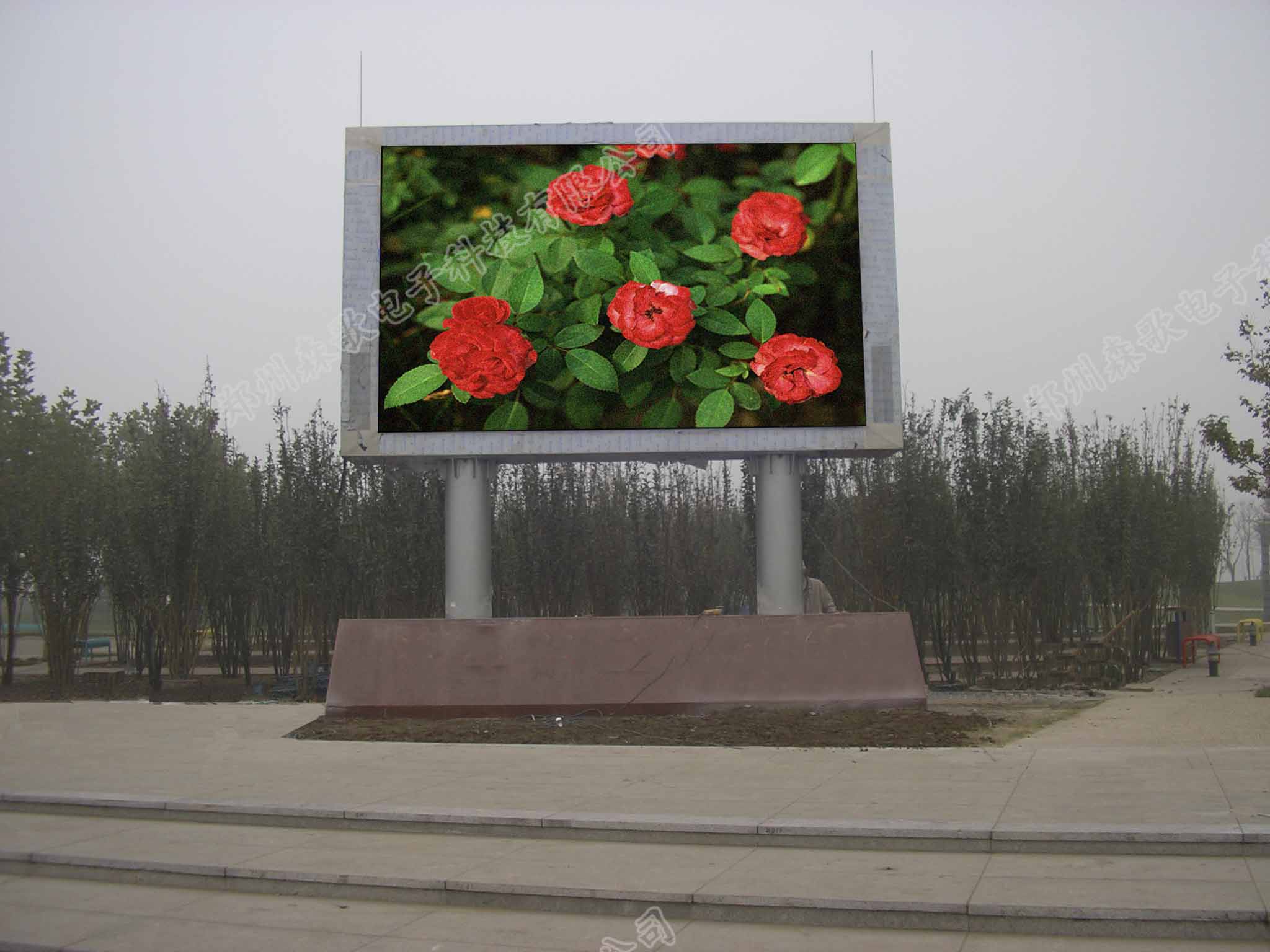 鄲城縣秋渠鄉(xiāng)戶外P8